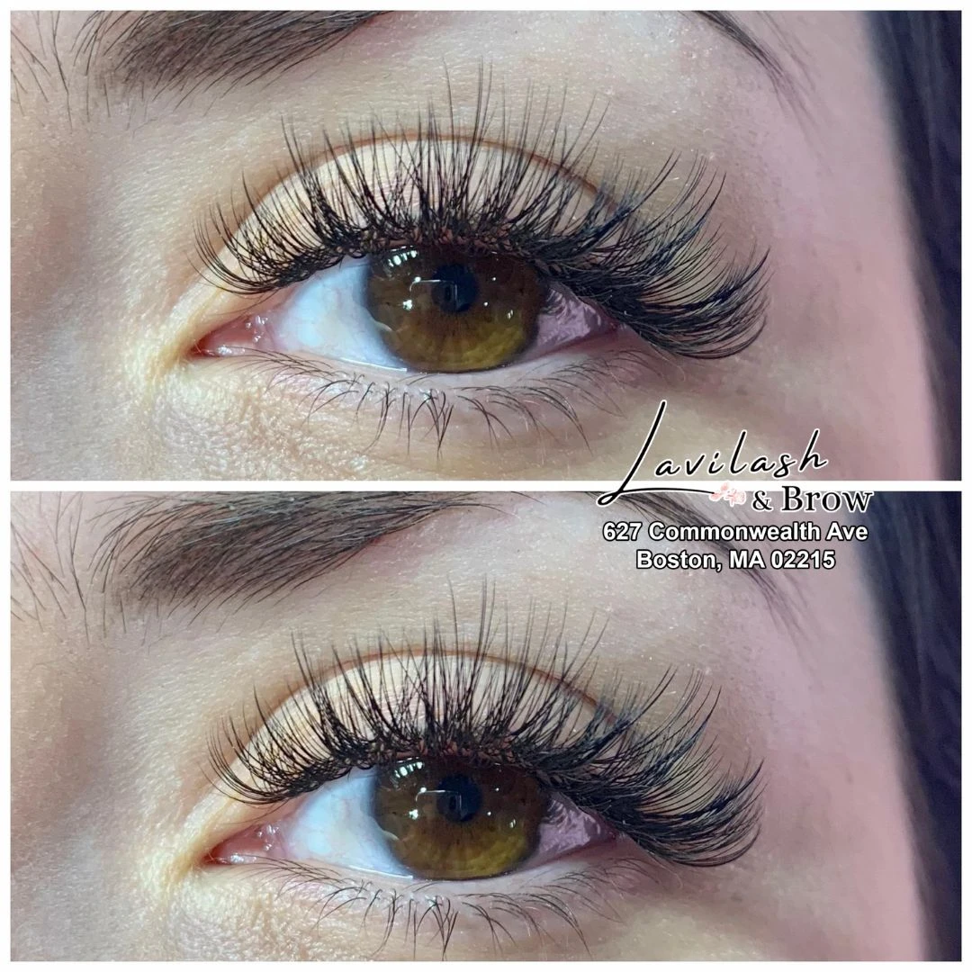 Perfect Lashes and Brows - Lavi studio in Boston, MA 02215 - August 26 2026